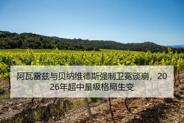 a-wa-lei-zi-yu-bei-na-wei-de-si-qiang-zhi-wei-mian-tan-beng-nian-chao-zhong-liang-ji-ge-ju-sheng-bian-2-128.jpg