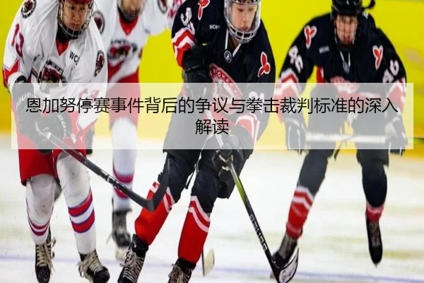 恩加努停赛事件背后的争议与拳击裁判标准的深入解读